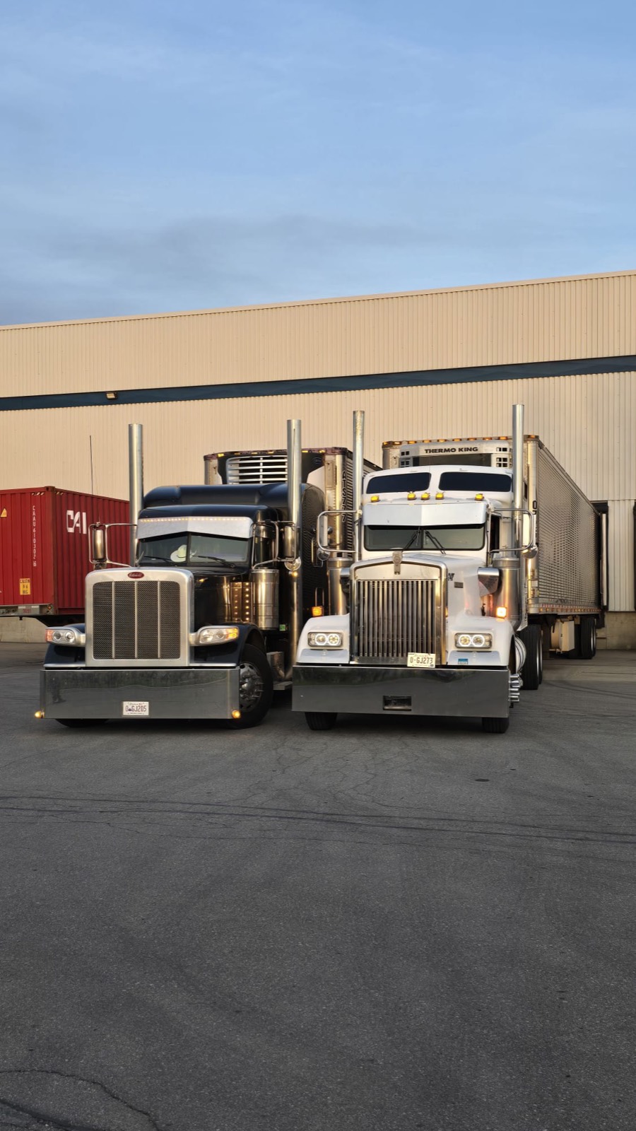 Black Airfield Trucking day-cab tractors staged at the warehouse, the Bolton, Ontario operation